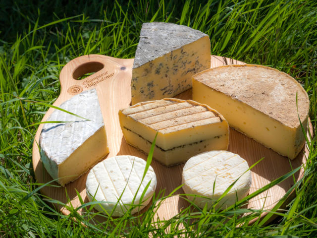 Hautes-Alpes (05), Vallée du Champsaur, Saint-Bonnet-en-Champsaur, Fromagerie du Champsaur, avec le  lait provenant de 4 exploitations laitières du Champsaur, fabrication et vente de fromages au lait cru.  //  Hautes-Alpes (05), Champsaur valley, Hautes-Alpes (05), Champsaur Valley, Saint-Bonnet-en-Champsaur, Fromagerie du Champsaur, Manufacture and sale of raw milk cheeses.