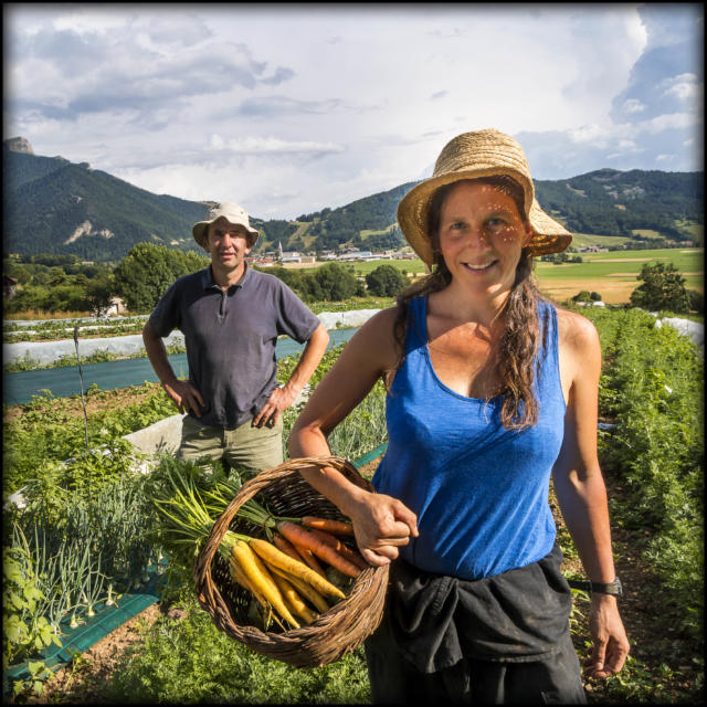 Hautes-Alpes (05), Vallée du Champsaur, Ancelle,  maraîchage, agriculture biologique, Légumes plein champ, maraîchage sous abris, Fruits rouges : framboise, groseille, cassis, Sophie Jaussaud et Stéphane Philippe  //  Hautes-Alpes (05), Champsaur valley, Ancelle, gardening, organic farming, field vegetables, market gardening under cover, red fruits: raspberry, redcurrant, blackcurrant, Sophie and Stephane Philippe Jaussaud