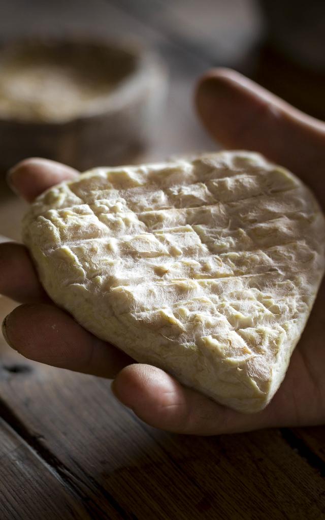 Hautes-Alpes (05), Vallée du Champsaur, Saint-Bonnet-en-Champsaur, L'Aulagnier, Ferme de Coste Joffre, Fromages fermiers au lait cru, vache et chèvre, Marie-Ange Eyraud et Axel Quéméré  // Hautes-Alpes (05), Champsaur valley, Saint-Bonnet-en-Champsaur, The Aulagnier, Farm Coste Joffre, farmhouse cheeses from raw milk, cow and goat, Marie-Ange Eyraud and Axel Quéméré