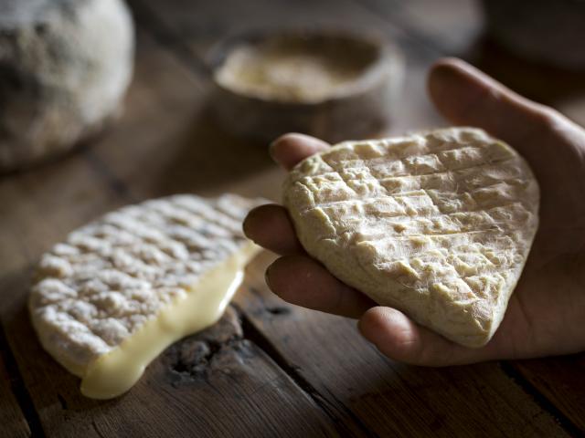 Hautes-Alpes (05), Vallée du Champsaur, Saint-Bonnet-en-Champsaur, L'Aulagnier, Ferme de Coste Joffre, Fromages fermiers au lait cru, vache et chèvre, Marie-Ange Eyraud et Axel Quéméré  // Hautes-Alpes (05), Champsaur valley, Saint-Bonnet-en-Champsaur, The Aulagnier, Farm Coste Joffre, farmhouse cheeses from raw milk, cow and goat, Marie-Ange Eyraud and Axel Quéméré