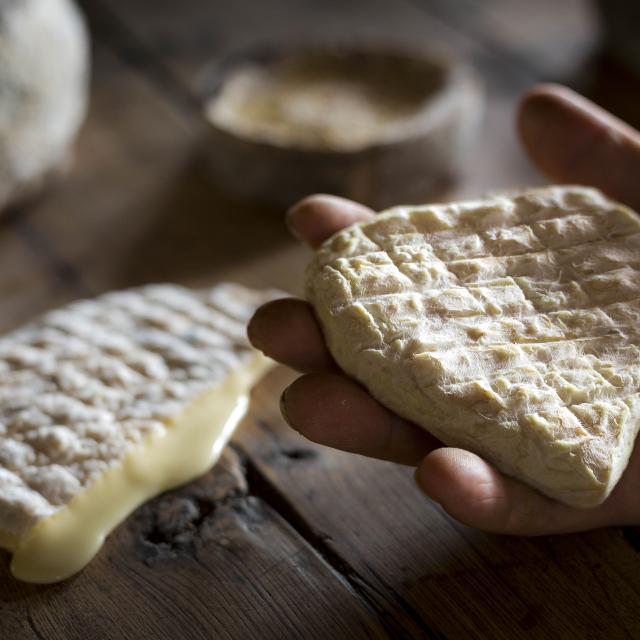 Hautes-Alpes (05), Vallée du Champsaur, Saint-Bonnet-en-Champsaur, L'Aulagnier, Ferme de Coste Joffre, Fromages fermiers au lait cru, vache et chèvre, Marie-Ange Eyraud et Axel Quéméré  // Hautes-Alpes (05), Champsaur valley, Saint-Bonnet-en-Champsaur, The Aulagnier, Farm Coste Joffre, farmhouse cheeses from raw milk, cow and goat, Marie-Ange Eyraud and Axel Quéméré