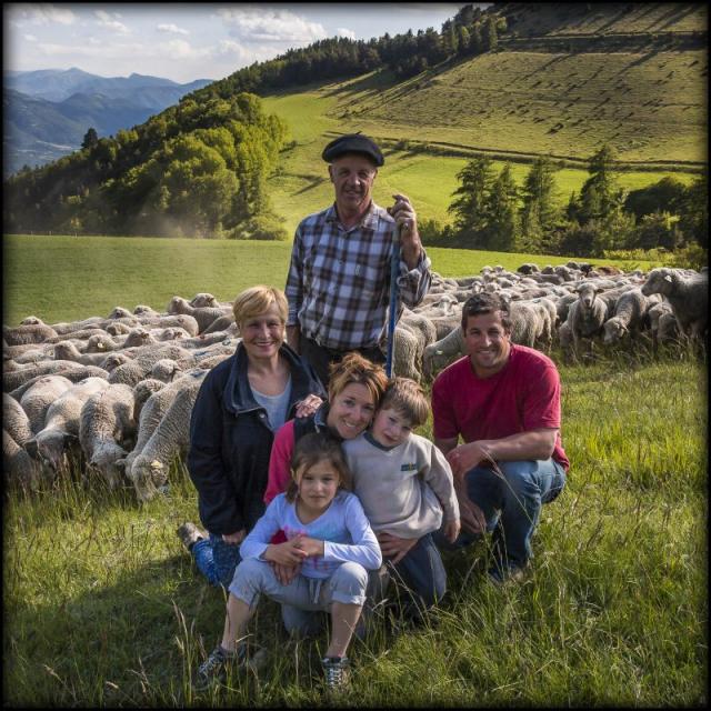 Hautes-Alpes (05), Vallée du Champsaur, Ancelle, Ferme des Sonnailles, famille Pellissier, exploitation familliale élevage et vente direct d'agneau, saucisses, merguez, saucissons, steak haché agneau et terrines à l'agneau  // Hautes-Alpes (05), Valley Champsaur Ancelle Farm Sonnailles, Pellissier family, family farm livestock and live lamb sales, sausages, merguez, saucissons, hamburger and lamb terrine with lamb