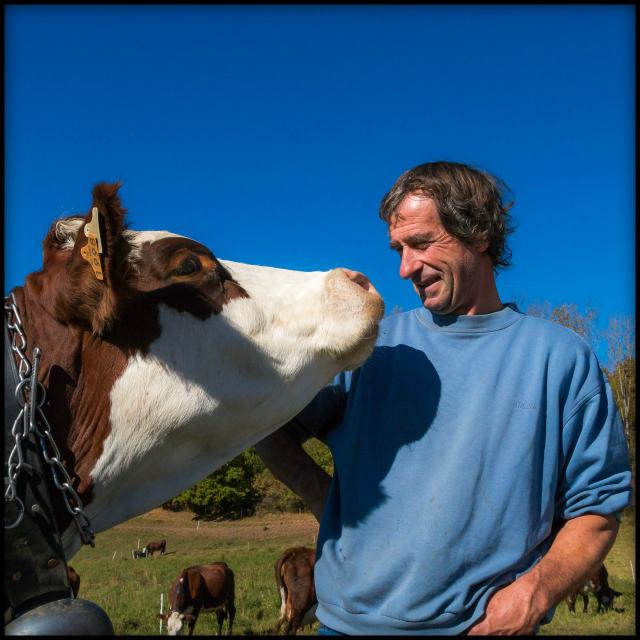 Hautes-Alpes (05), Vallée du Champsaur, Chabottes, GAEC Pré Lacombe, Fromages fermiers au lait cru de vache, Marion Ranguis et Jean-Luc Ranguis   // Hautes-Alpes (05), Valley Champsaur, Chabottes, GAEC Pre Lacombe, farmhouse cheeses made with raw cow's milk, Marion and Jean-Luc Ranguis Ranguis