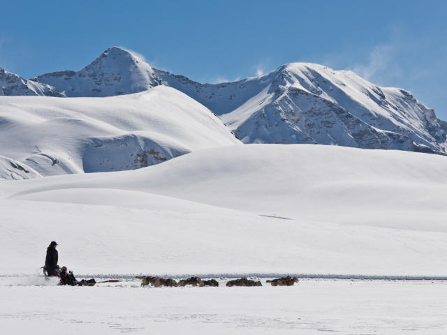 Station de ski Orcières 1850, vallée du Champsaur, Hautes-Alpes; 05 Village nordique de Williwaw, partez pour une balade à la tête dun attelage, ou dans le traîneau du meneur de chien (musher) pour glisser sur les pentes douces des haut plateaux daltitudes de Rocherousse.