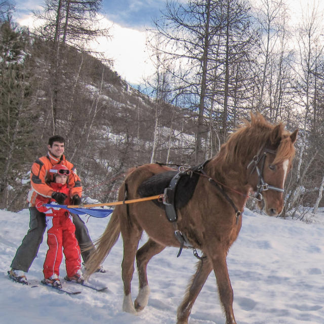 Ski Joering à la Base de Loisirs