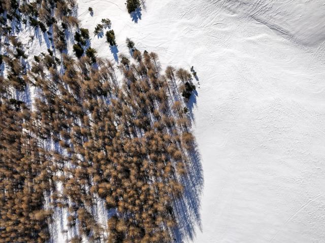 Parapente à la station d'Orcières Merlette