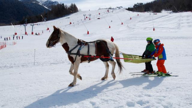 Ski joering à Ancelle