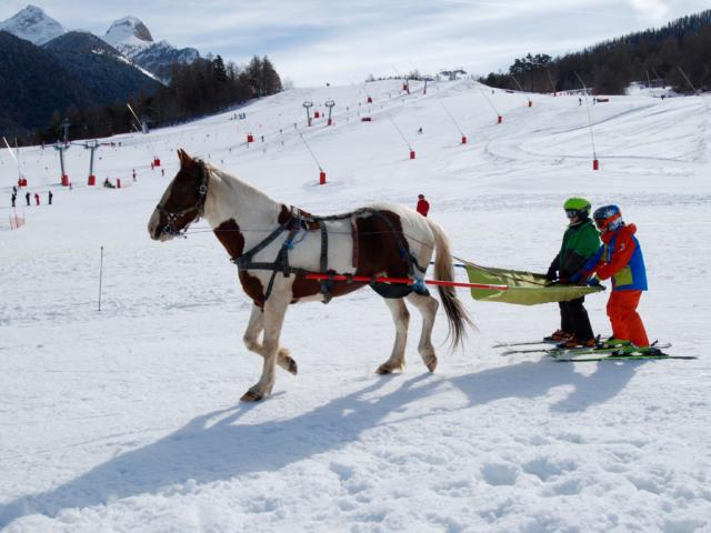 Ski joering à Ancelle