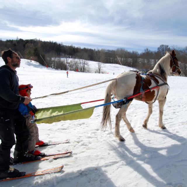 Ski joering à Ancelle