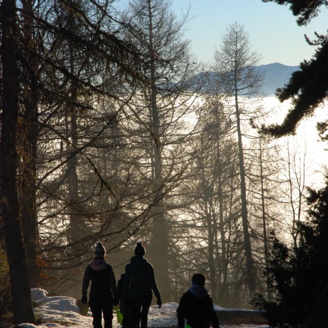 Balade nordique dans la vallée de Champoléon