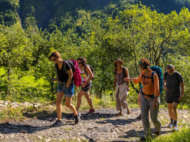 Hautes-Alpes (05), Vallée du Champsaur, vallon de Champoléon,  l’utilisation des plantes sauvages, les secrets des plantes, celles qui nourrissent, celles qui guérissent avec Daphnée Vincent //  Hautes-Alpes (05), Champsaur Valley, Champoléon valley, the use of wild plants, the secrets of plants, those that nourish, those that heal with Daphnée Vincent