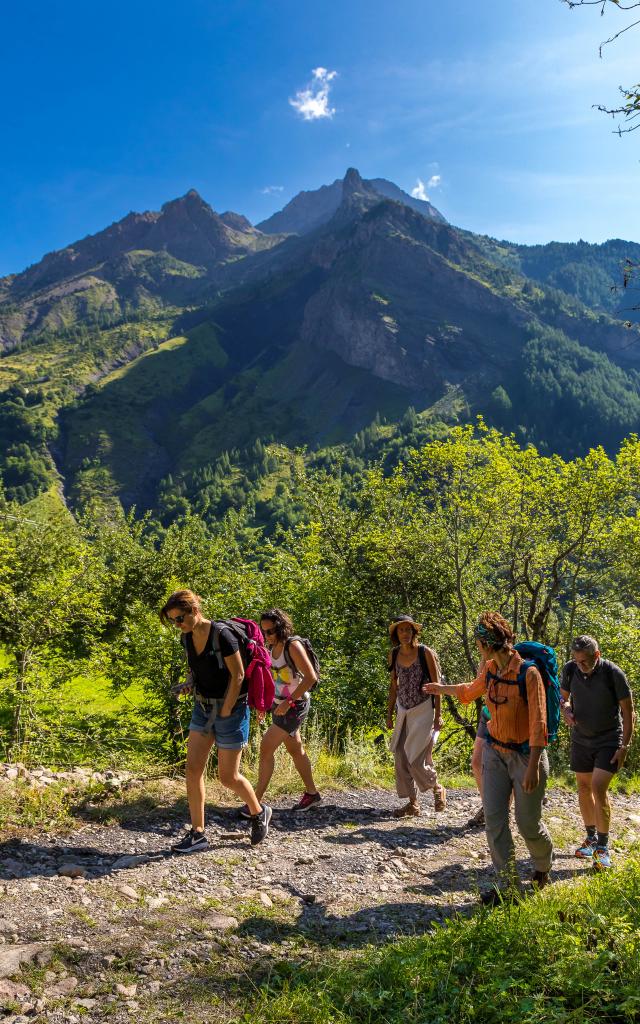 Hautes-Alpes (05), Vallée du Champsaur, vallon de Champoléon,  l’utilisation des plantes sauvages, les secrets des plantes, celles qui nourrissent, celles qui guérissent avec Daphnée Vincent //  Hautes-Alpes (05), Champsaur Valley, Champoléon valley, the use of wild plants, the secrets of plants, those that nourish, those that heal with Daphnée Vincent