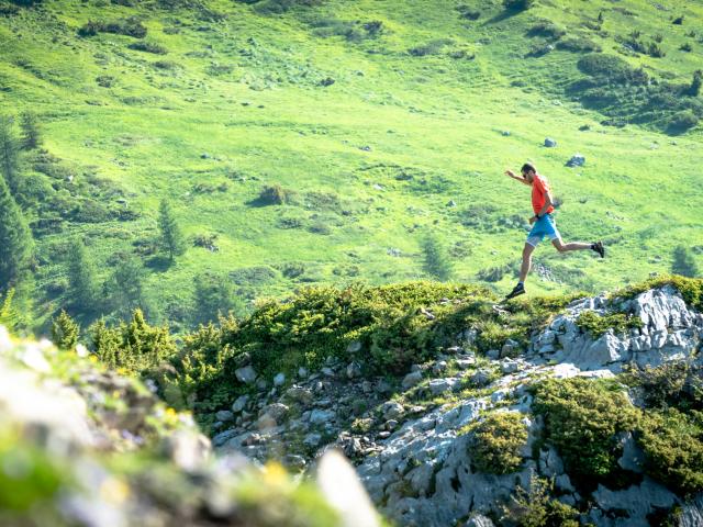 Trailchampsaur Bd©agencekros Remifabregue (9 Sur 51)