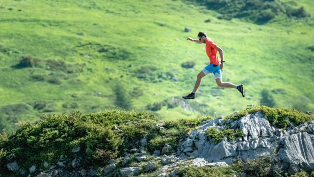 Trailchampsaur Bd©agencekros Remifabregue (10 Sur 51)