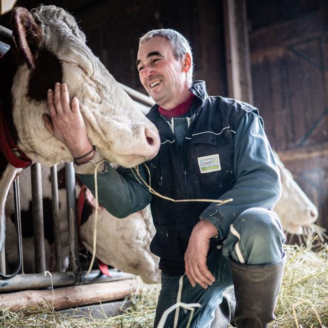 Ferme Des Counières Borel à Manse