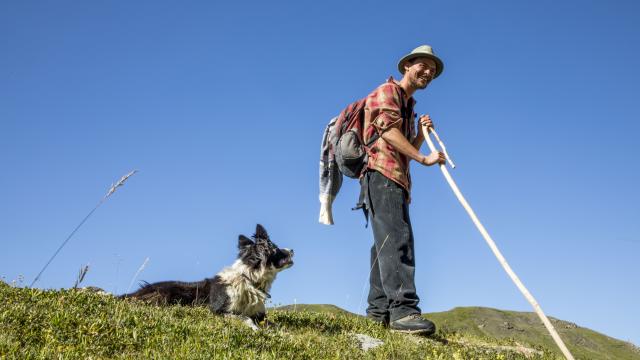 Berger en alpage dans le Champsaur