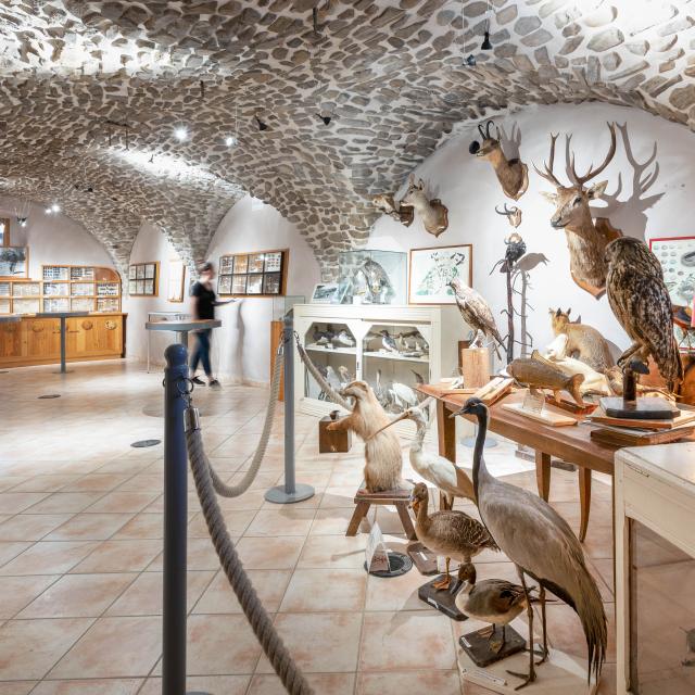 Musée des animaux, champsaur valgaudemar