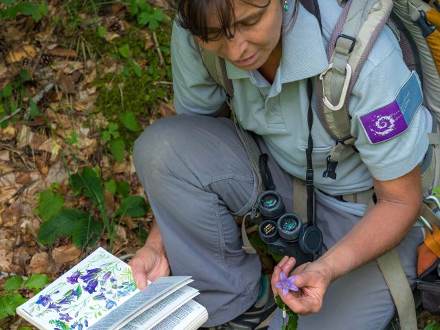 Dominique Vincent, garde monitrice du Parc national des Ecrins