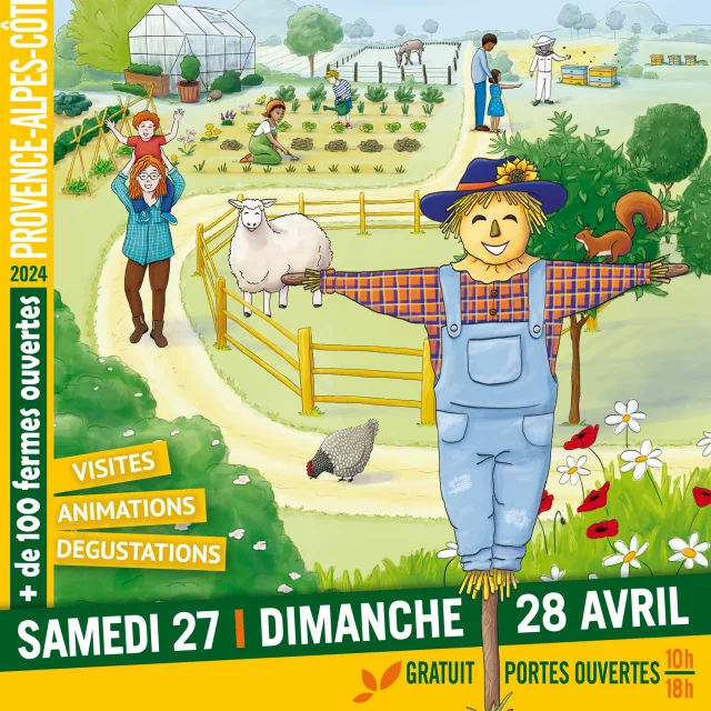 Dff24 Affiche Web