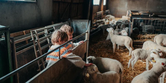 Visite de ferme du Caïre