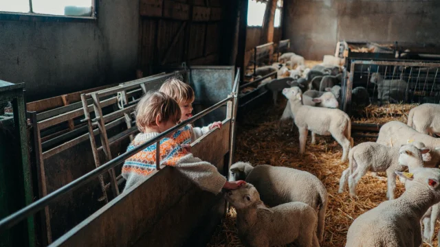 Visite de ferme du Caïre