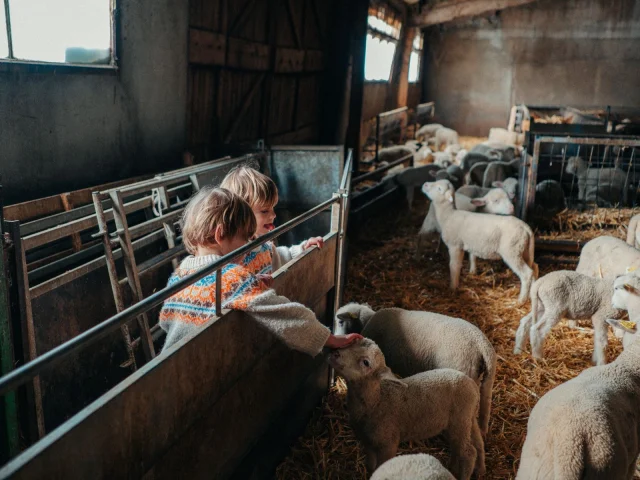 Visite de ferme du Caïre