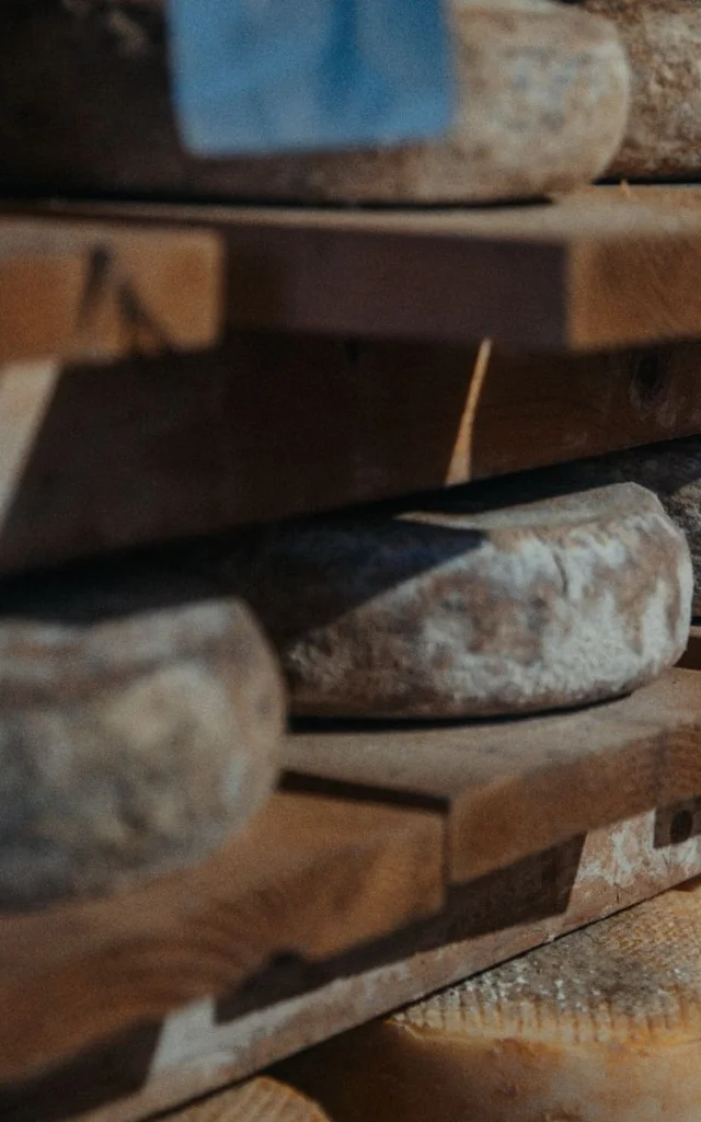 Tomme du Champsaur dans son habitat naturel